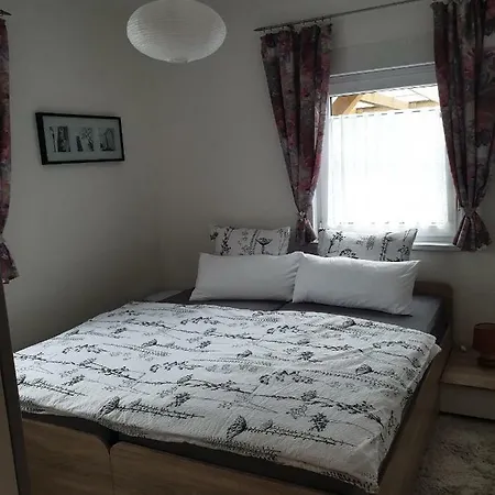 Ferienwohnung Regina Apartment